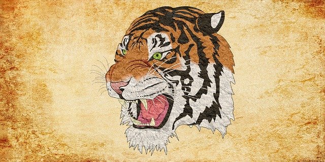 和紙に描かれた虎の日本画の画像