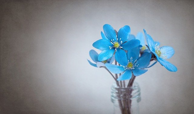 ガラスの瓶に青い花が飾られてる画像