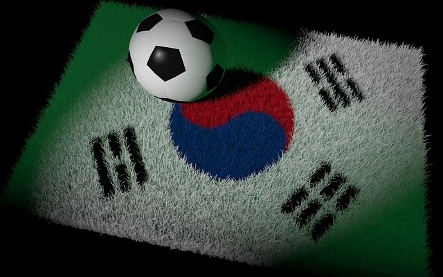 韓国国旗とサッカーボールの画像